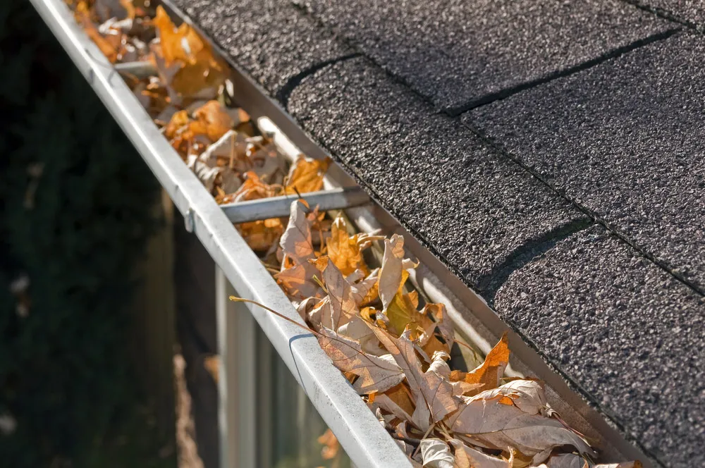 The Importance Of Regular Gutter Maintenance